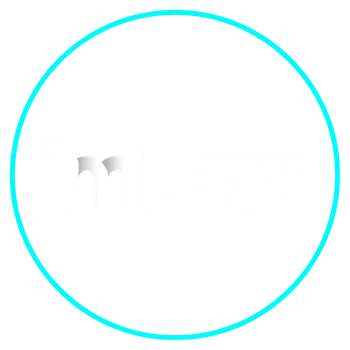 Independent Monitoring Board Logo