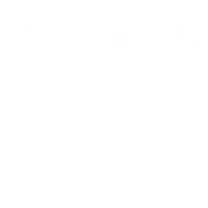 Magus Wealth