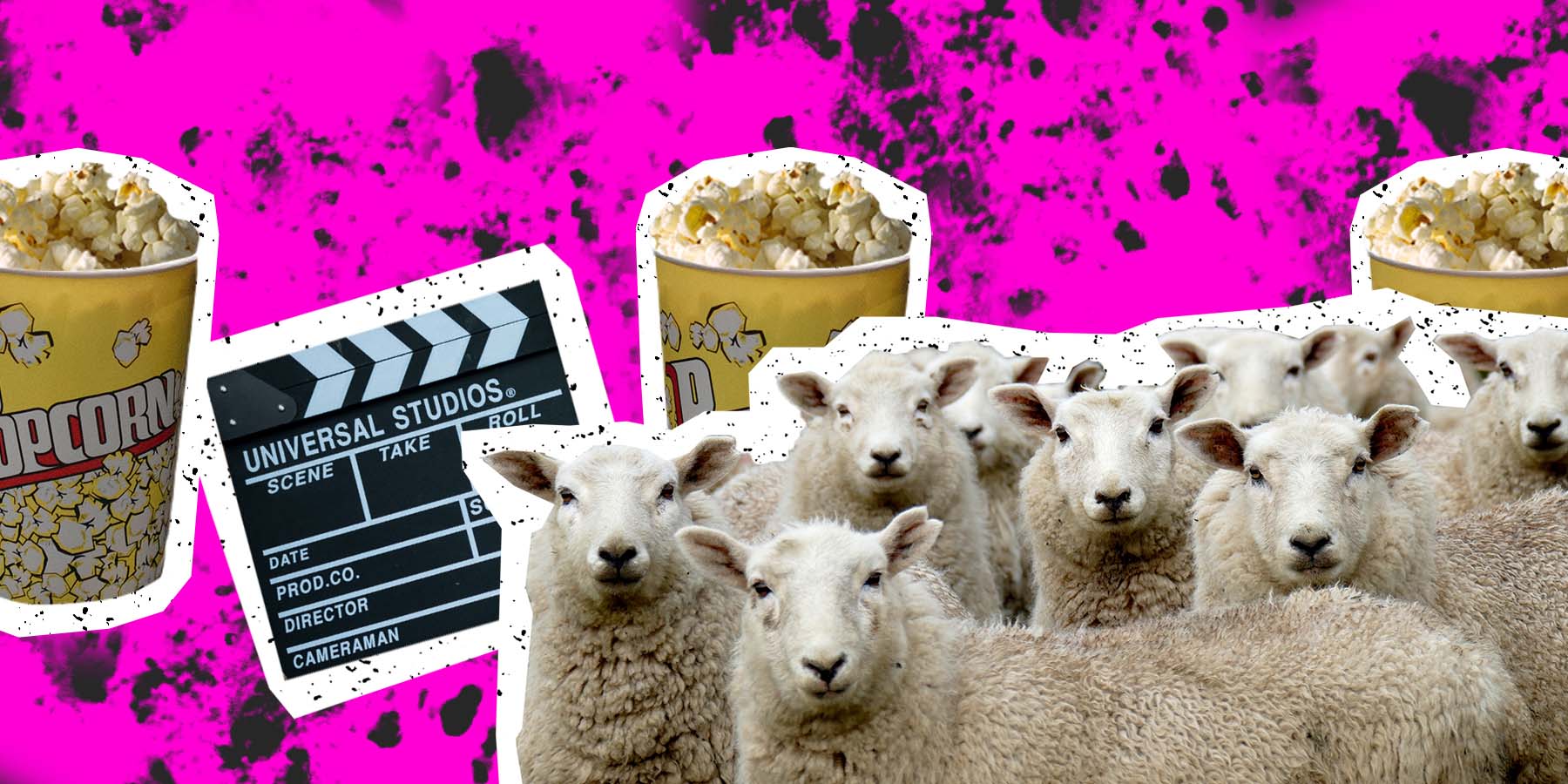 sheep and film