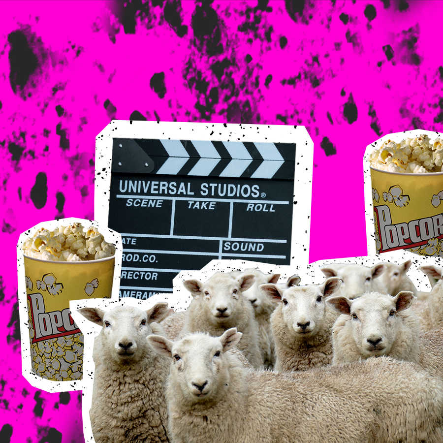 sheep and film