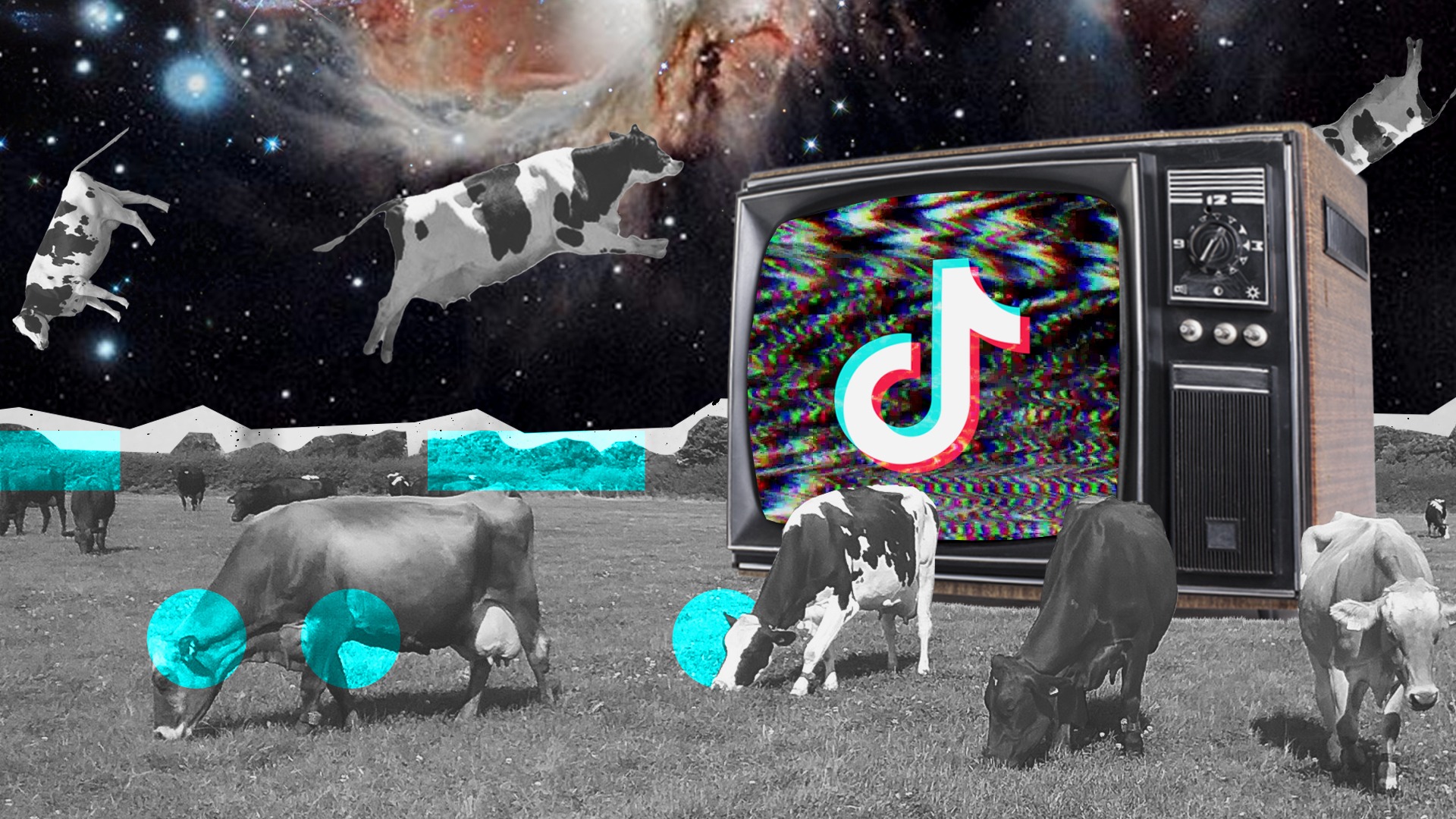 cows on the moon watching tiktok