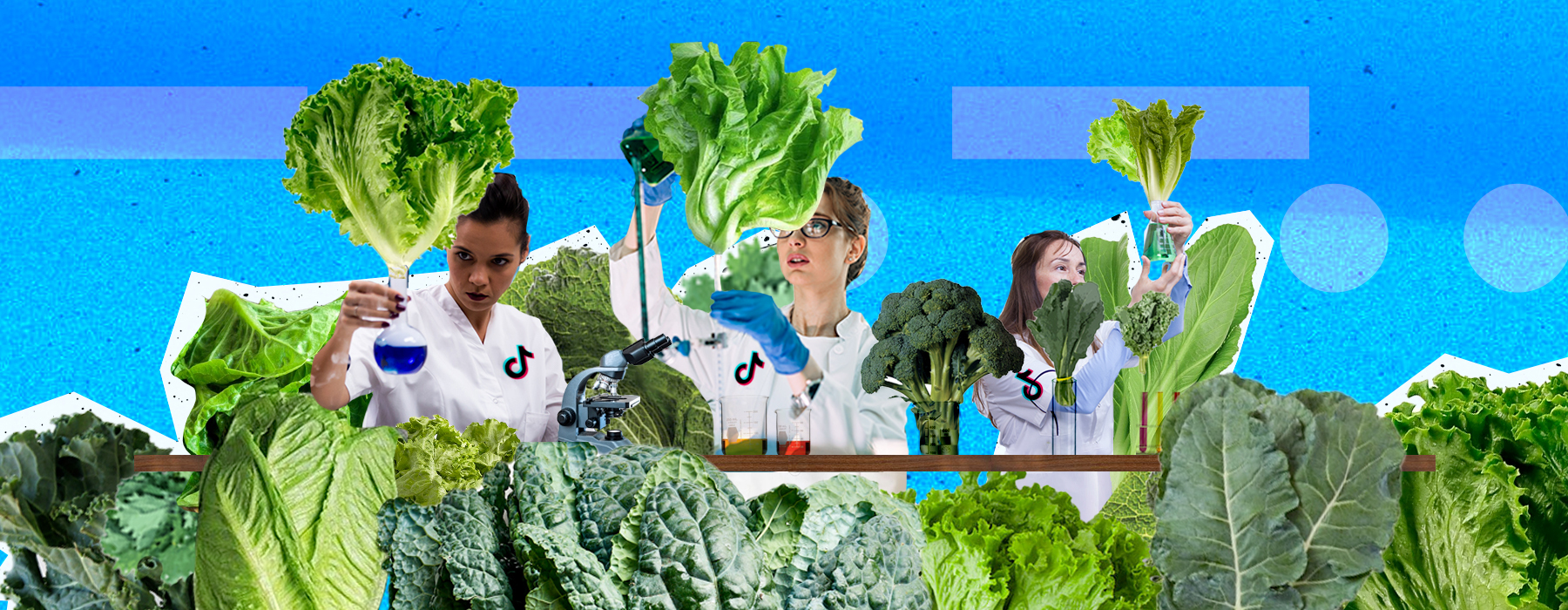 scientists growing organic content