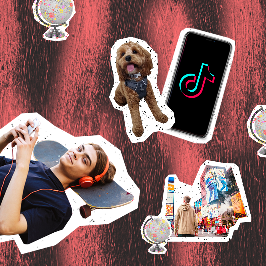 dog and tiktok