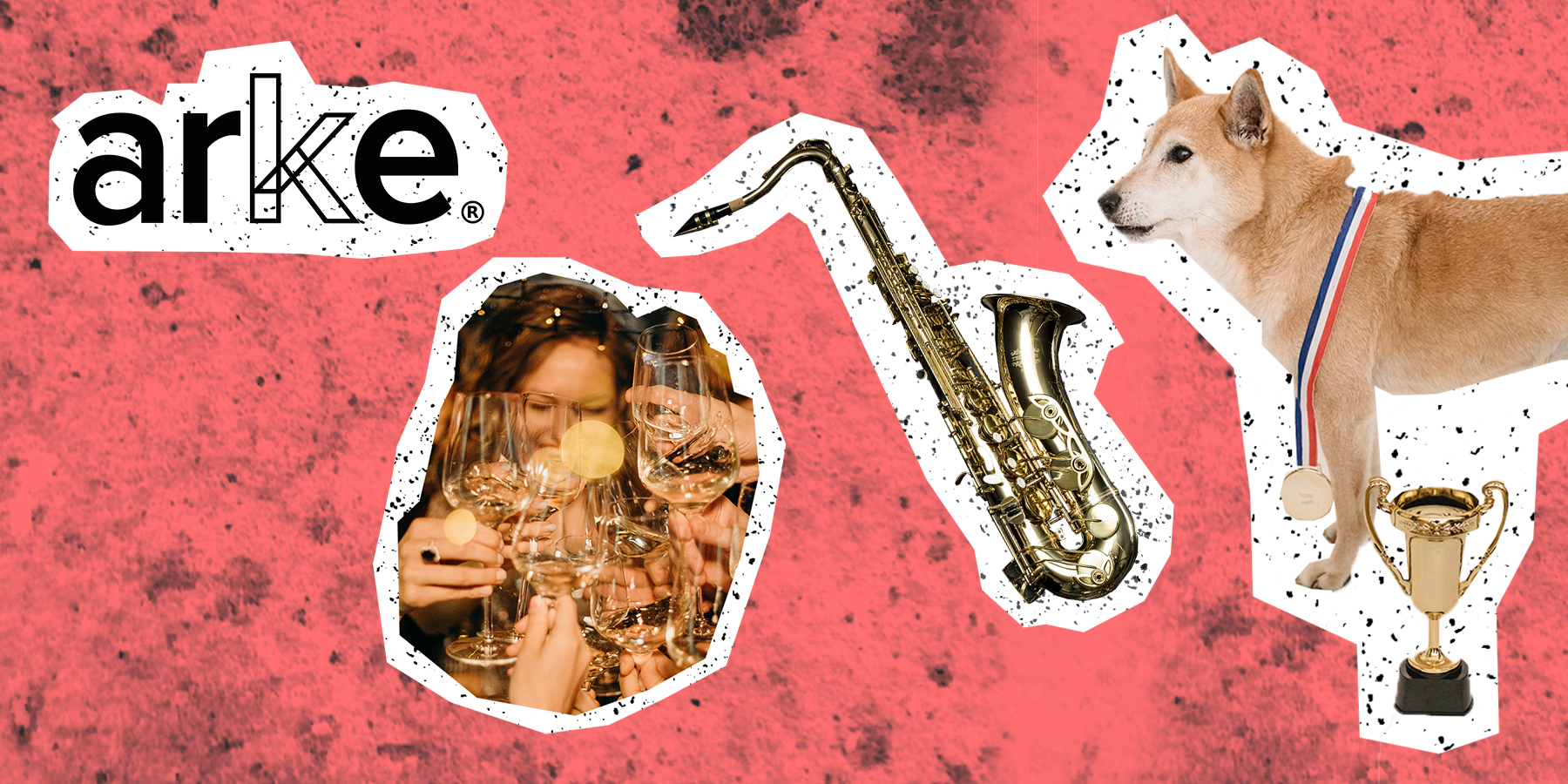 celebrations and shiba inu